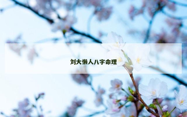 刘大懒人八字命理