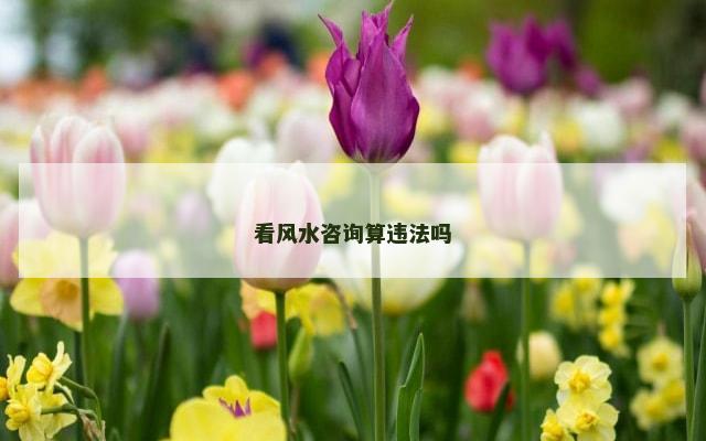看风水咨询算违法吗