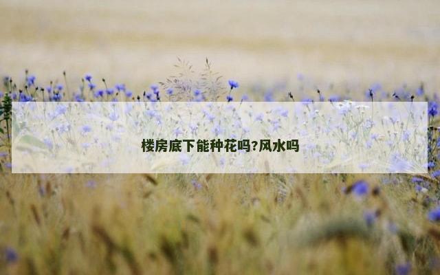 楼房底下能种花吗?风水吗
