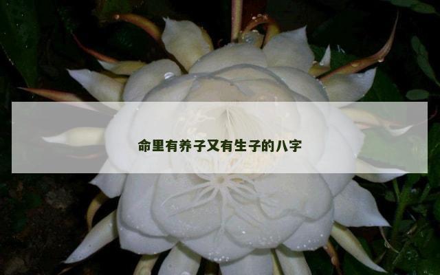 命里有养子又有生子的八字