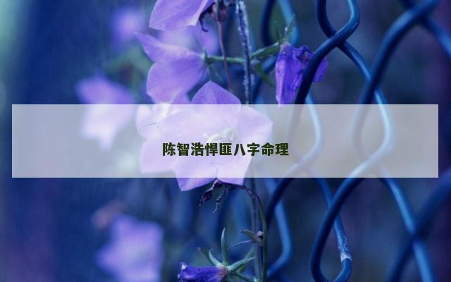 陈智浩悍匪八字命理