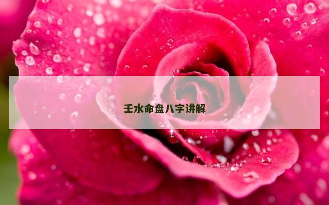 壬水命盘八字讲解