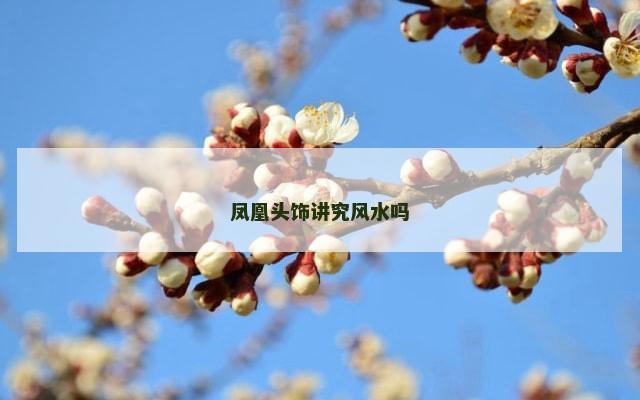凤凰头饰讲究风水吗