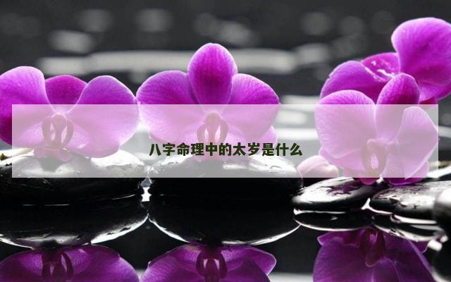 八字命理中的太岁是什么