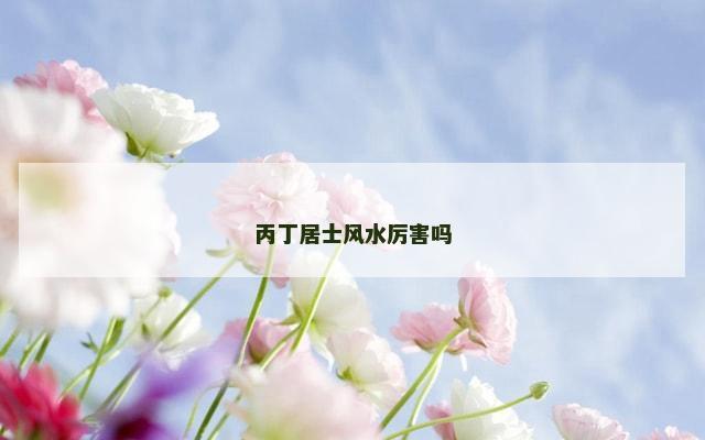 丙丁居士风水厉害吗