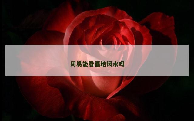 周易能看墓地风水吗