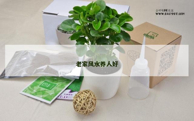 老家风水养人好