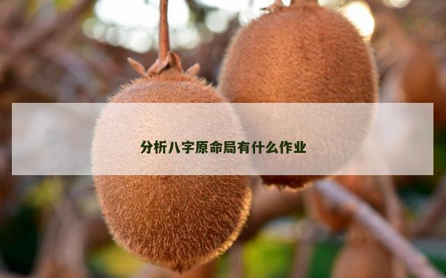 分析八字原命局有什么作业