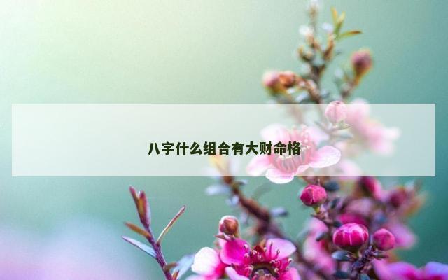 八字什么组合有大财命格