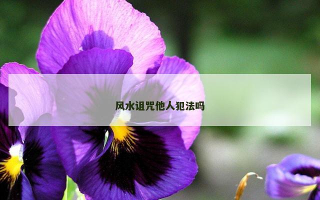 风水诅咒他人犯法吗