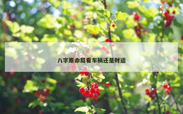 八字原命局看车祸还是财运