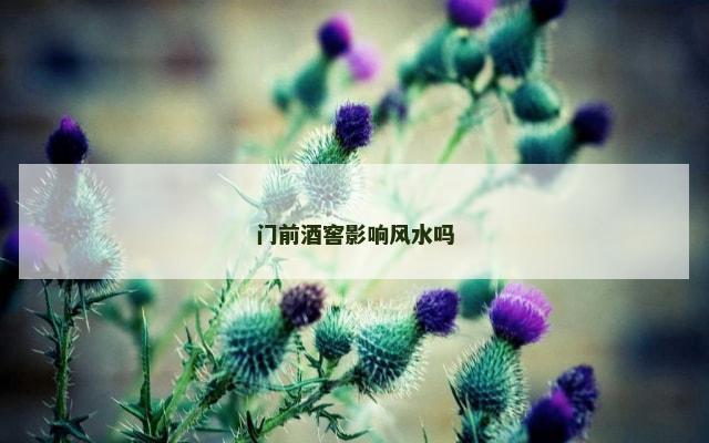 门前酒窖影响风水吗