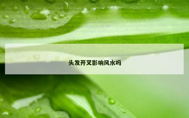 头发开叉影响风水吗