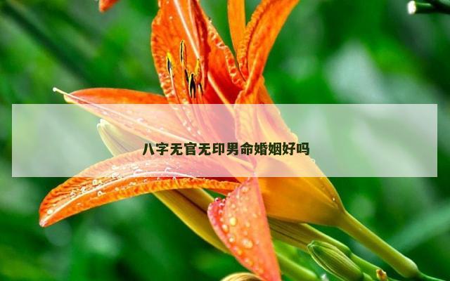 八字无官无印男命婚姻好吗