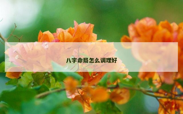 八字命局怎么调理好