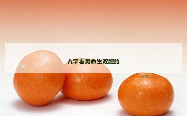 八字看男命生双胞胎