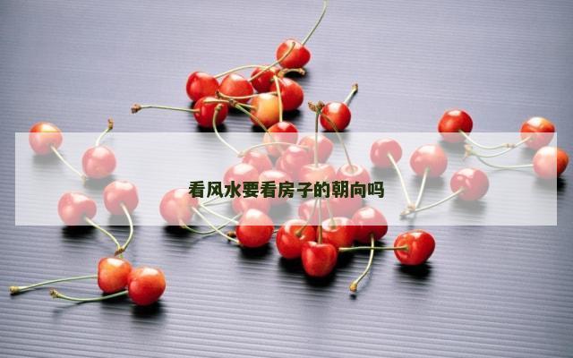 看风水要看房子的朝向吗