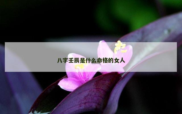 八字壬辰是什么命格的女人