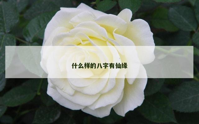 什么样的八字有仙缘