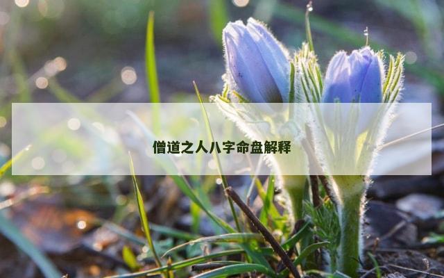 僧道之人八字命盘解释