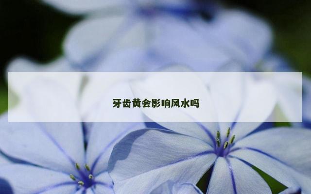 牙齿黄会影响风水吗
