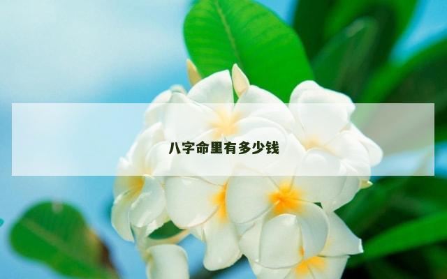 八字命里有多少钱