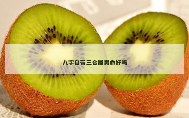 八字自带三合局男命好吗