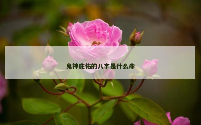 鬼神庇佑的八字是什么命