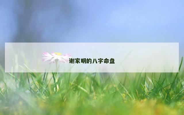 谢家明的八字命盘