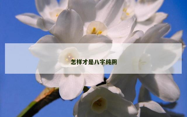 怎样才是八字纯阴