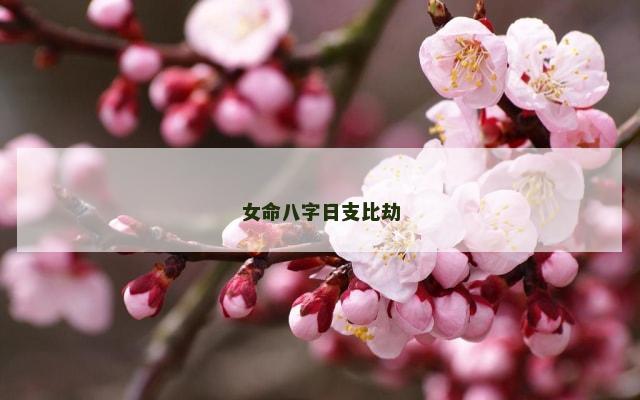 女命八字日支比劫