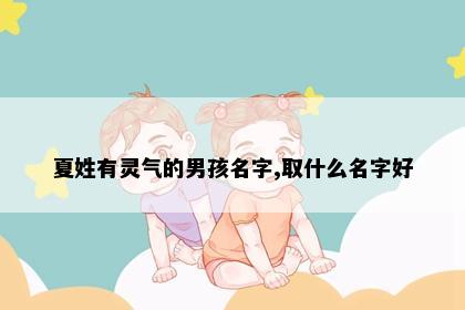 夏姓有灵气的男孩名字,取什么名字好