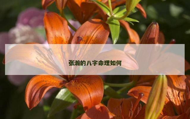 张瀚的八字命理如何