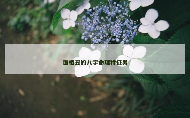 面相丑的八字命理特征男