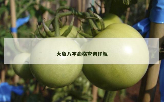 大象八字命格查询详解