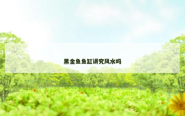 黑金鱼鱼缸讲究风水吗