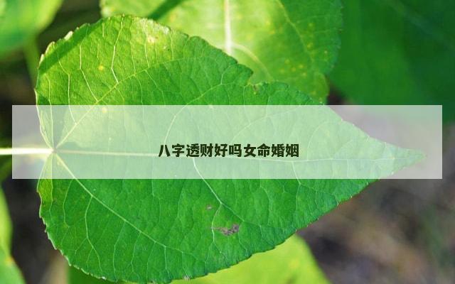 八字透财好吗女命婚姻