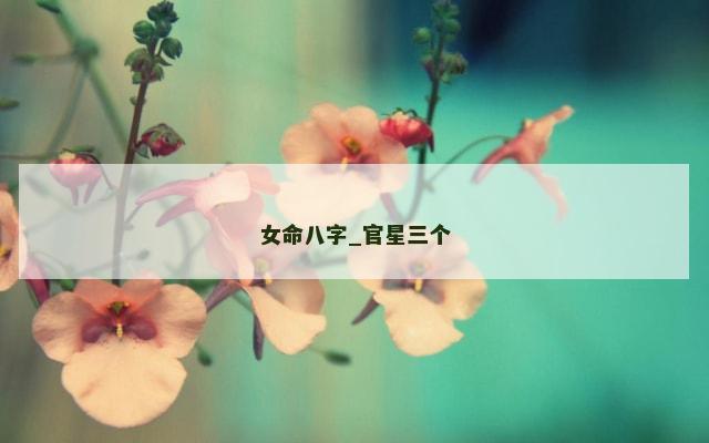 女命八字_官星三个
