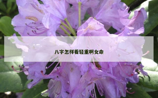 八字怎样看轻重啊女命