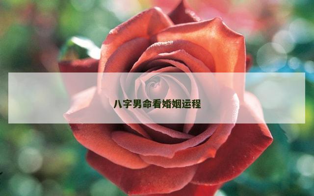 八字男命看婚姻运程