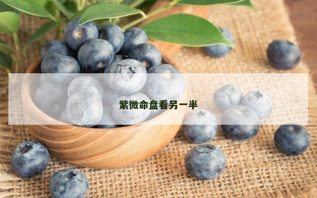 紫微命盘看另一半