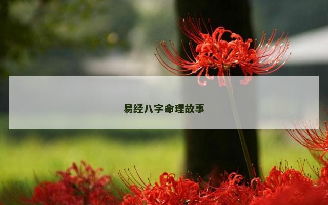 易经八字命理故事