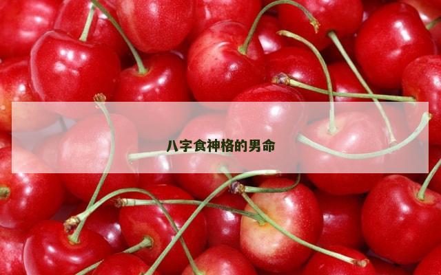 八字食神格的男命