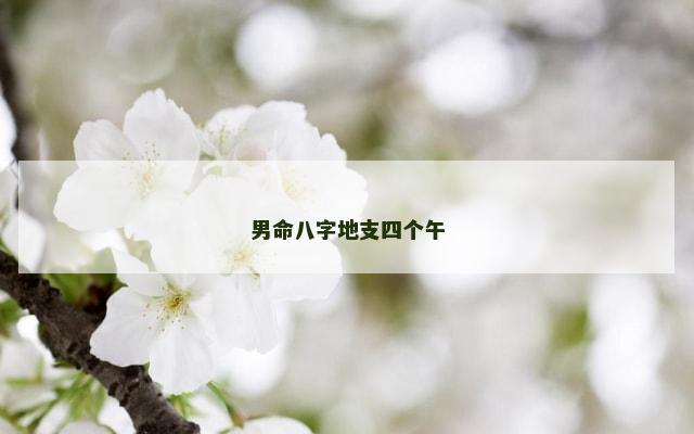 男命八字地支四个午