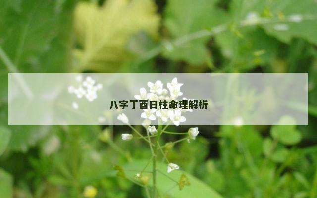 八字丁酉日柱命理解析
