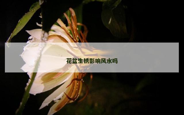 花盆生锈影响风水吗