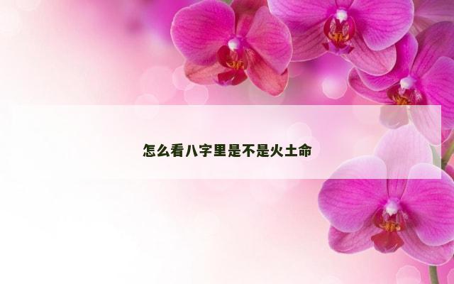 怎么看八字里是不是火土命