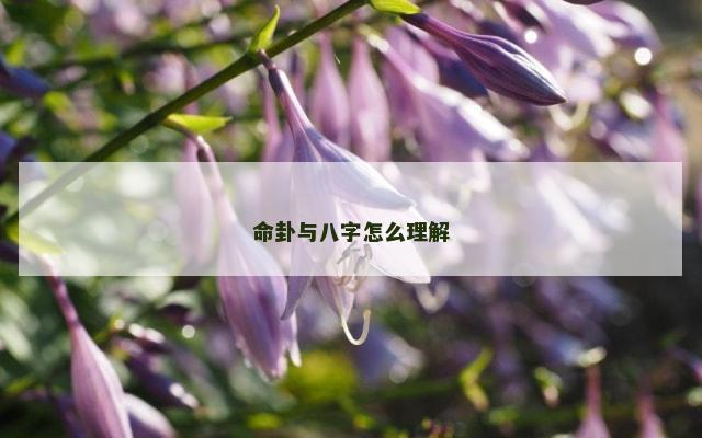 命卦与八字怎么理解