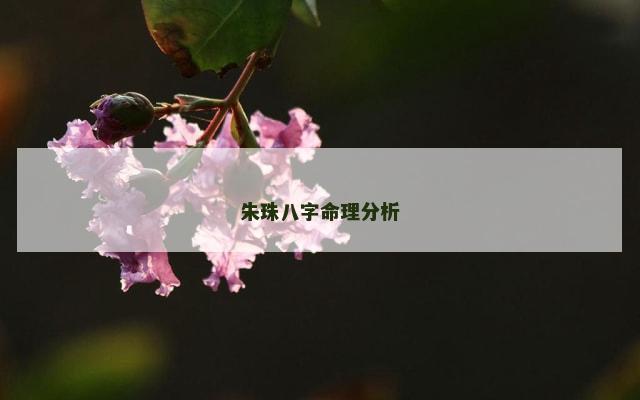 朱珠八字命理分析