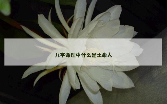 八字命理中什么是土命人